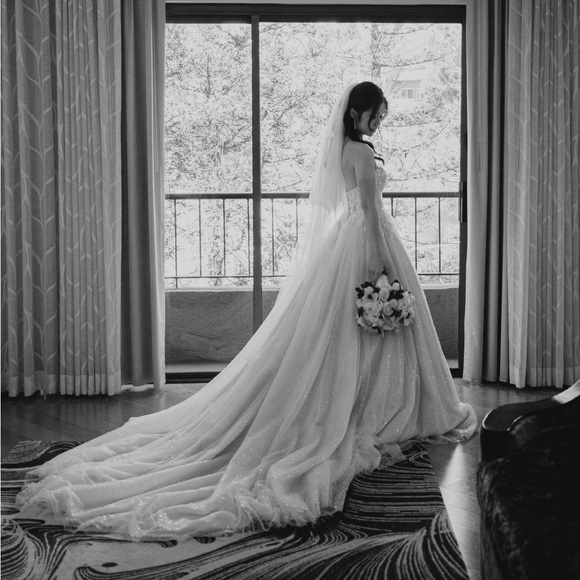 Maggie Sottero sparkly wedding dress - Picture 1 of 6